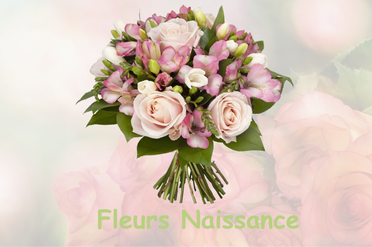 fleurs naissance LA-NEUVILLE-SUR-RESSONS
